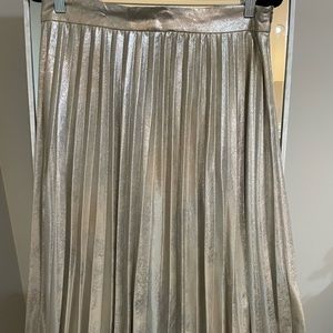 Zara Metallic Pleated Skirt